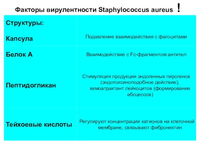 Факторы вирулентности Staphylococcus aureus !