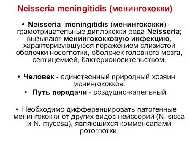 Neisseria meningitidis (менингококки) Neisseria meningitidis (менингококки) - грамотрицательные диплококки рода