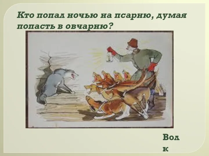 Кто попал ночью на псарню, думая попасть в овчарню? Волк