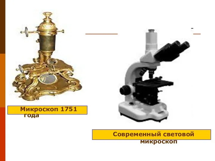 Микроскоп 1751 года Современный световой микроскоп