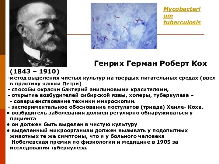 Mycobacterium tuberculosis Генрих Герман Роберт Кох (1843 – 1910) метод выделения чистых культур