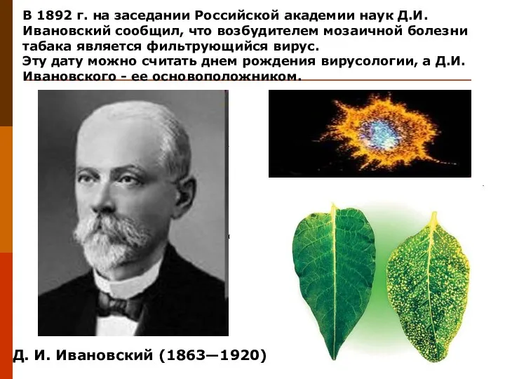 а я В 1892 г. на заседании Российской академии наук