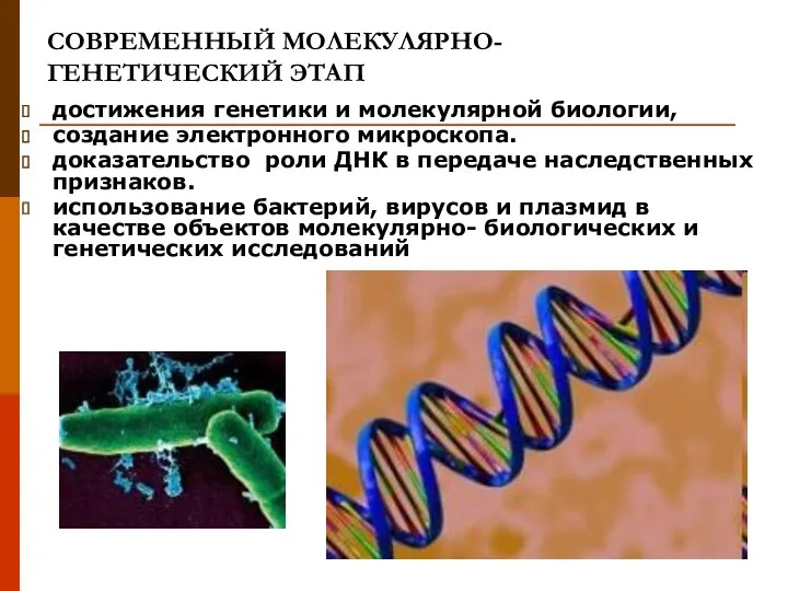 СОВРЕМЕННЫЙ МОЛЕКУЛЯРНО- ГЕНЕТИЧЕСКИЙ ЭТАП достижения генетики и молекулярной биологии, создание электронного микроскопа. доказательство