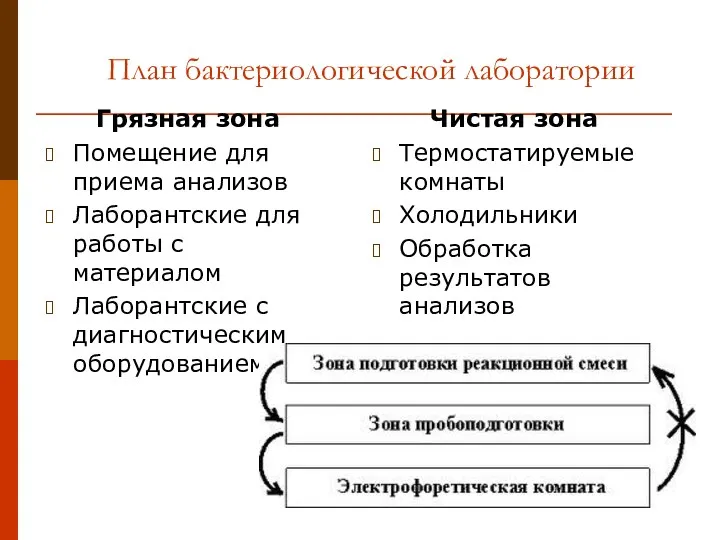 План бактериологической лаборатории Грязная зона Помещение для приема анализов Лаборантские