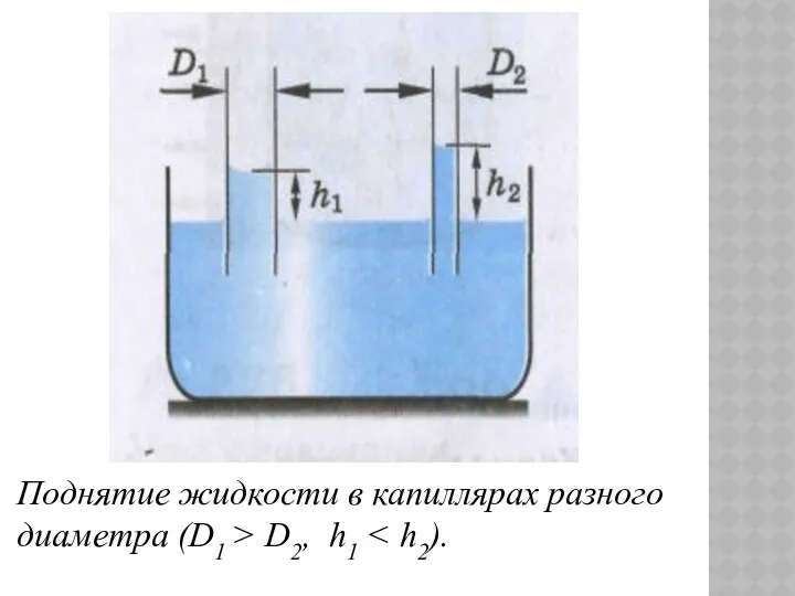 Поднятие жидкости в капиллярах разного диаметра (D1 > D2, h1