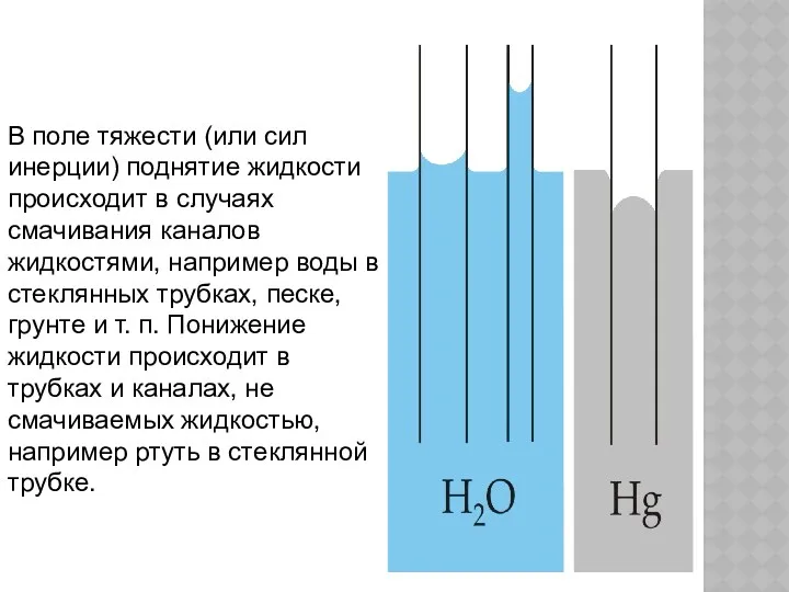 В поле тяжести (или сил инерции) поднятие жидкости происходит в