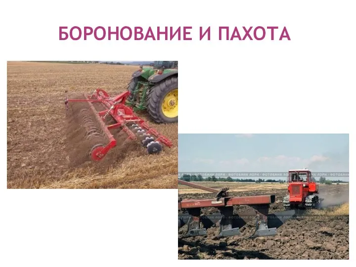 БОРОНОВАНИЕ И ПАХОТА