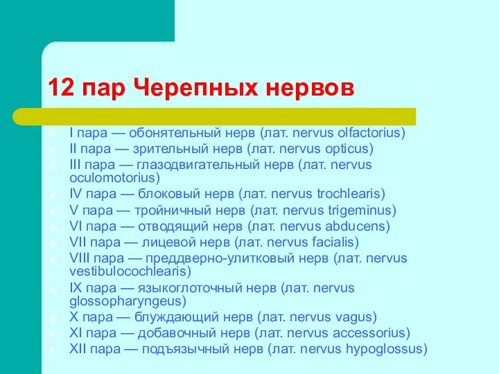 12 пар Черепных нервов I пара — обонятельный нерв (лат.