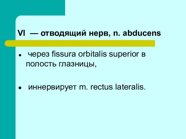 VI — отводящий нерв, n. abducens через fissura orbitalis superior