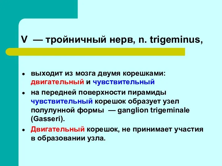 V — тройничный нерв, n. trigeminus, выходит из мозга двумя