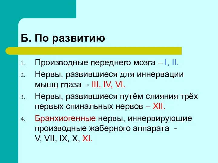 Б. По развитию Производные переднего мозга – I, II. Нервы,