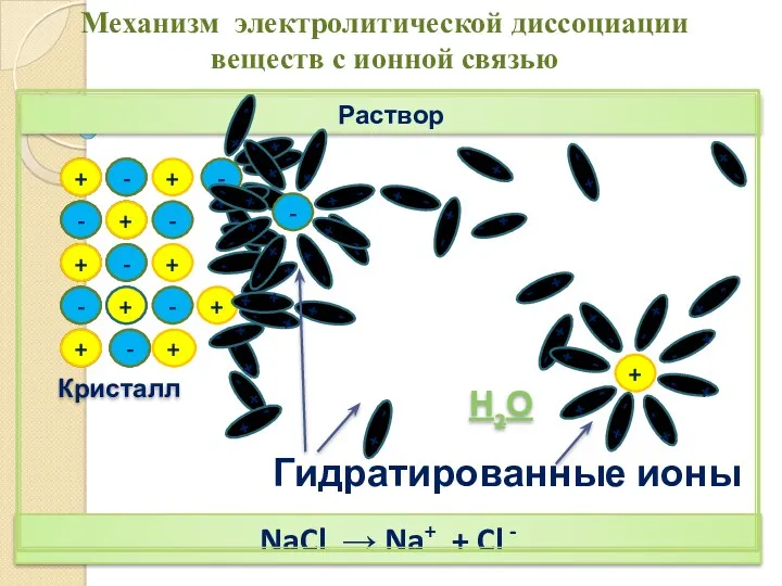 + + - - + + - - Раствор Кристалл