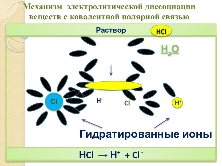 Раствор НCl → Н+ + Cl - Механизм электролитической диссоциации