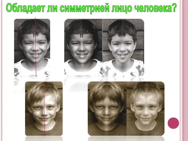 Обладает ли симметрией лицо человека?