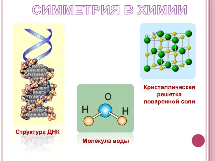 СИММЕТРИЯ В ХИМИИ Кристаллическая решетка поваренной соли Молекула воды Структура ДНК