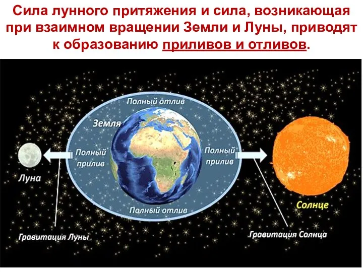 Сила лунного притяжения и сила, возникающая при взаимном вращении Земли