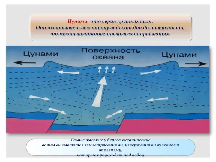 Цунами –это серия крупных волн. Они охватывает всю толщу воды