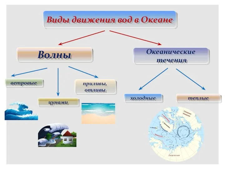 Виды движения вод в Океане Волны Океанические течения ветровые цунами приливы, отливы холодные теплые