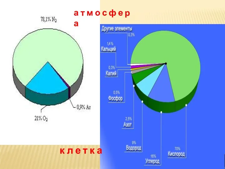 а т м о с ф е р а к л е т к а