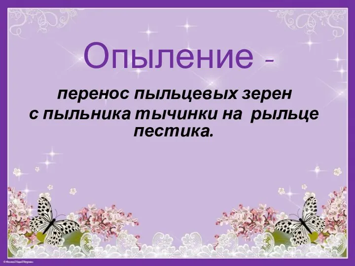 Опыление - перенос пыльцевых зерен с пыльника тычинки на рыльце пестика.