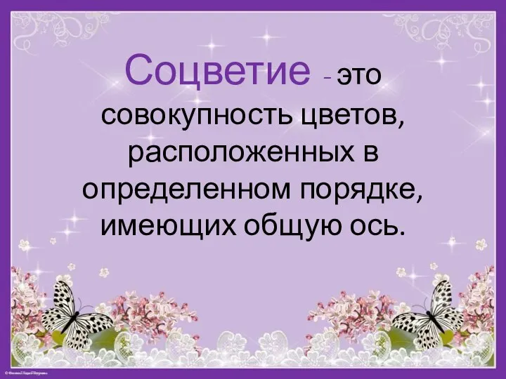 Соцветие - это совокупность цветов, расположенных в определенном порядке, имеющих общую ось.