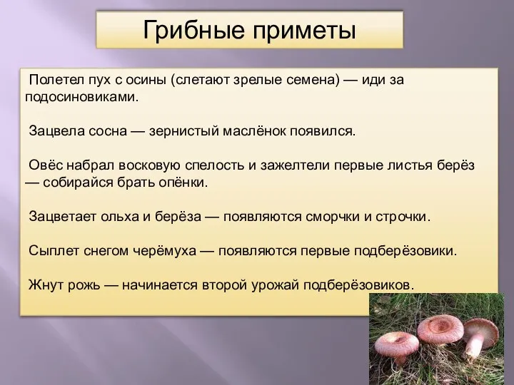 Полетел пух с осины (слетают зрелые семена) — иди за