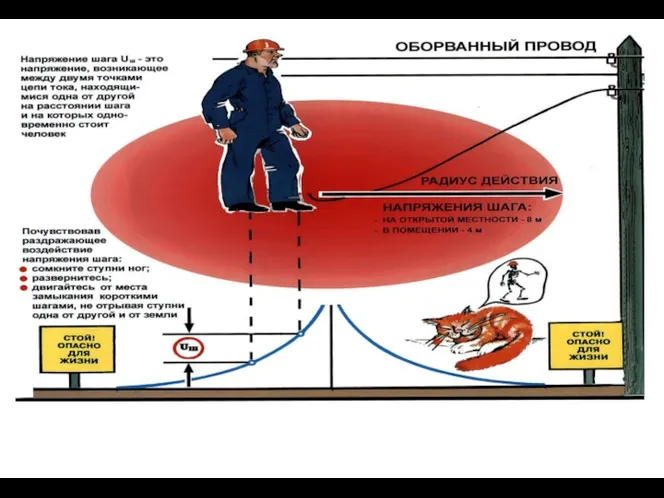 8 метров Место касания провода