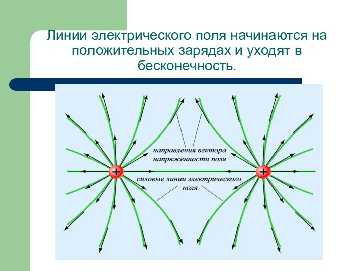 Линии электрического поля начинаются на положительных зарядах и уходят в бесконечность.