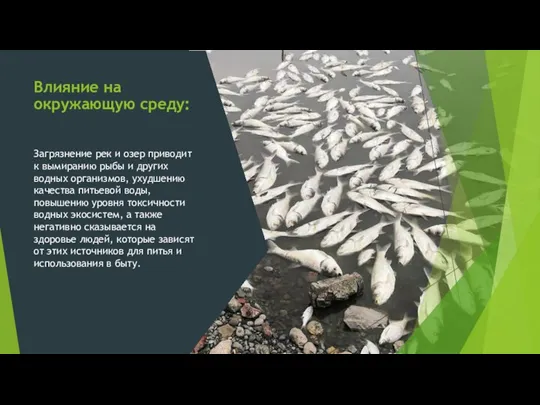 Влияние на окружающую среду: Загрязнение рек и озер приводит к вымиранию рыбы и