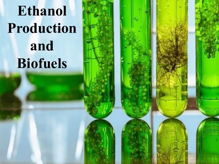 Ethanol production and biofuels