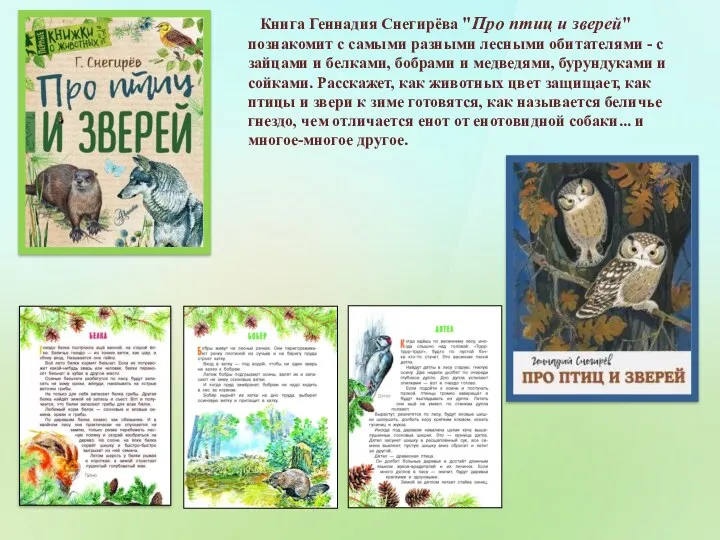 Книга Геннадия Снегирёва "Про птиц и зверей" познакомит с самыми