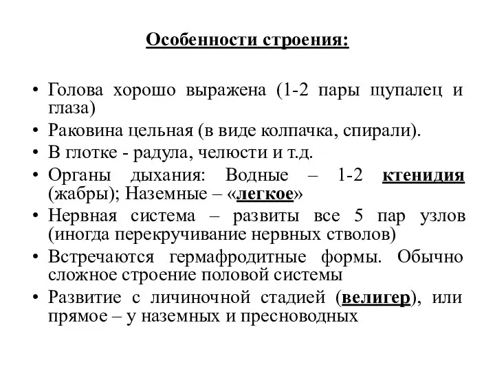 Особенности строения: Голова хорошо выражена (1-2 пары щупалец и глаза)