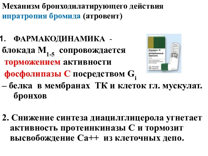 Механизм бронходилатирующего действия ипратропия бромида (атровент) ФАРМАКОДИНАМИКА - блокада М1-5