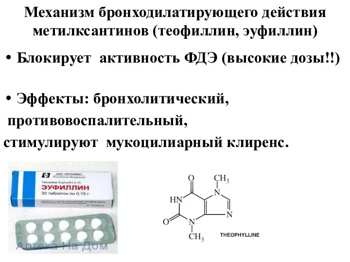 Механизм бронходилатирующего действия метилксантинов (теофиллин, эуфиллин) Блокирует активность ФДЭ (высокие