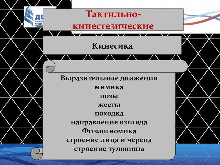 Тактильно-кинестезические Кинесика Выразительные движения мимика позы жесты походка направление взгляда Физиогномика строение лица