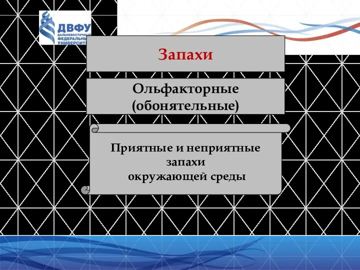 Запахи Ольфакторные (обонятельные) Приятные и неприятные запахи окружающей среды