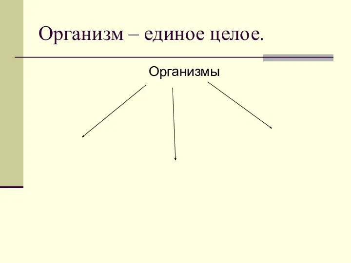 Организм – единое целое. Организмы