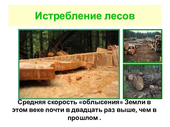 Истребление лесов Средняя скорость «облысения» Земли в этом веке почти
