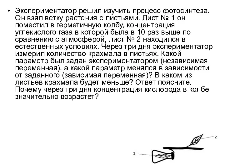 Экспериментатор решил изучить процесс фотосинтеза. Он взял ветку растения с