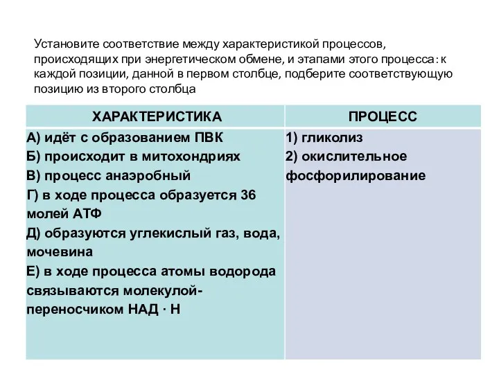 Установите соответствие между характеристикой процессов, происходящих при энергетическом обмене, и