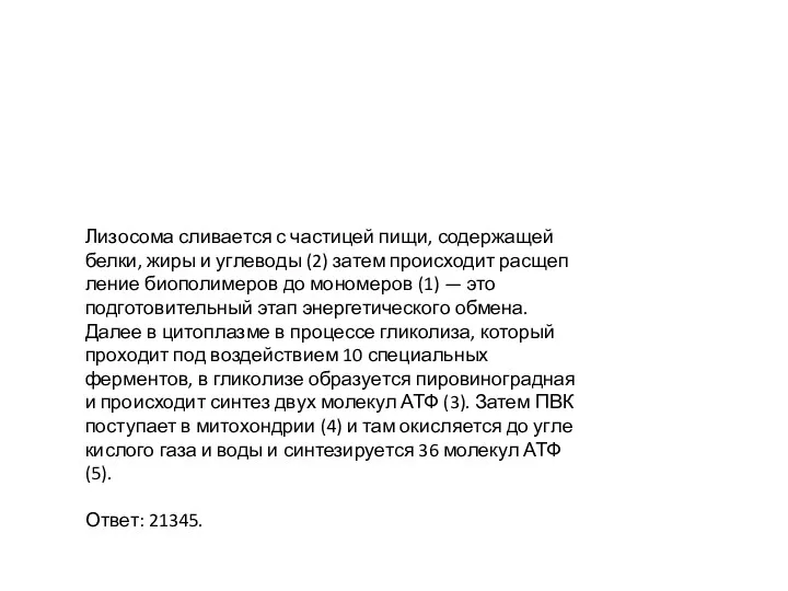 Ли­зо­со­ма сливается с частицей пищи, содержащей белки, жиры и углеводы