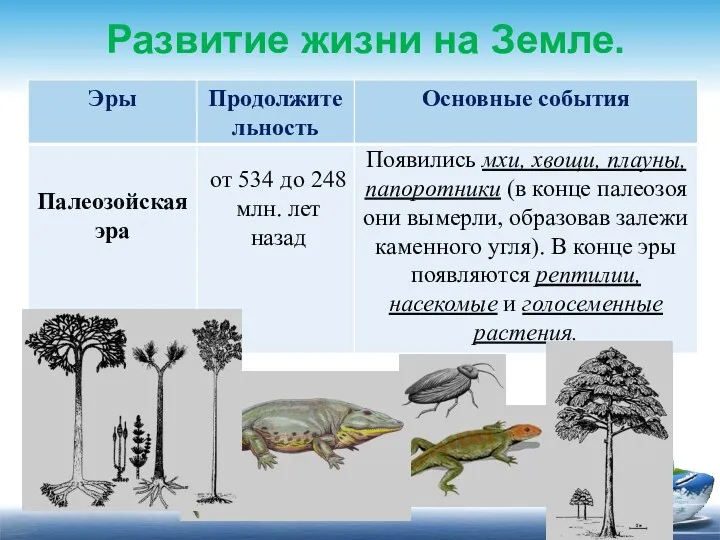 Развитие жизни на Земле. от 534 до 248 млн. лет