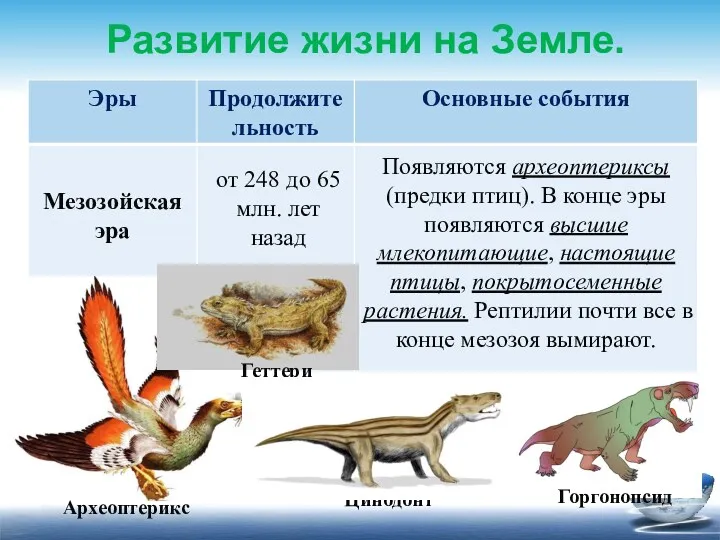 Развитие жизни на Земле. от 248 до 65 млн. лет