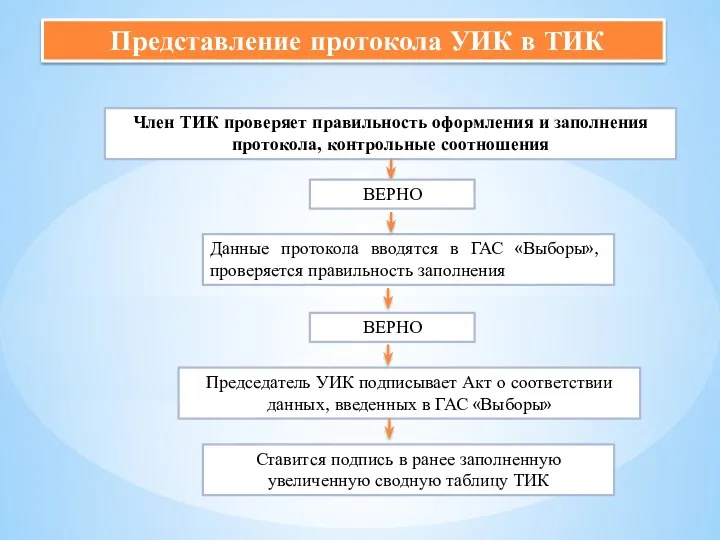 Член ТИК проверяет правильность оформления и заполнения протокола, контрольные соотношения