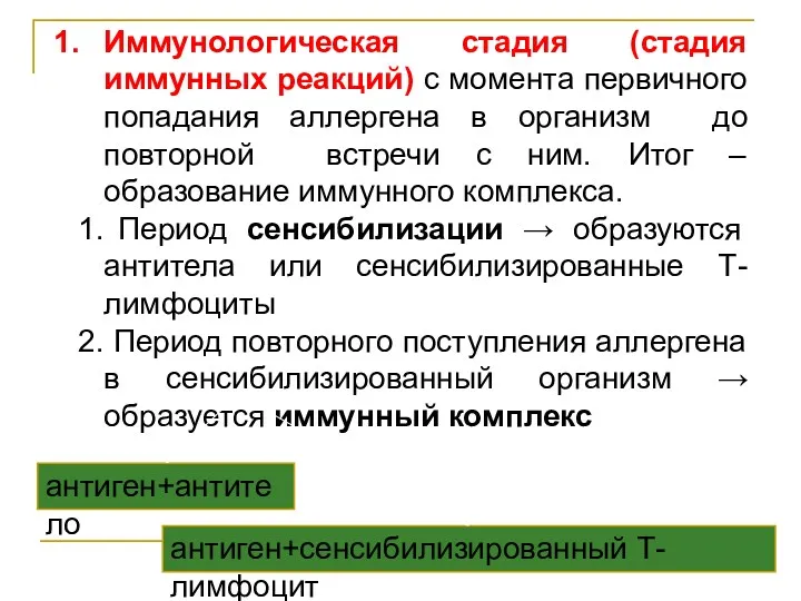 Иммунологическая стадия (стадия иммунных реакций) с момента первичного попадания аллергена