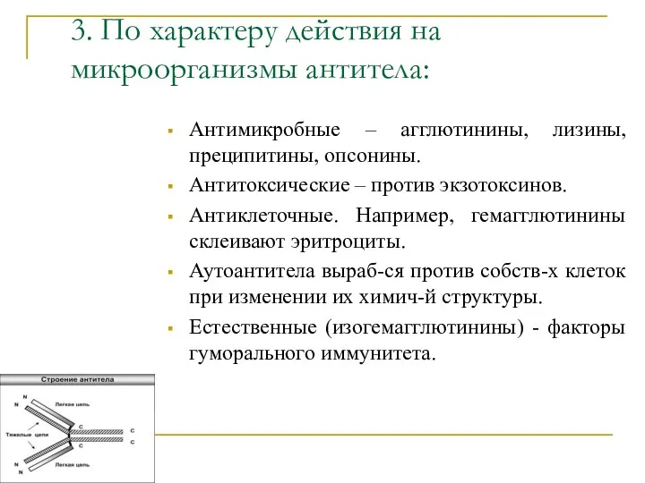 3. По характеру действия на микроорганизмы антитела: Антимикробные – агглютинины,