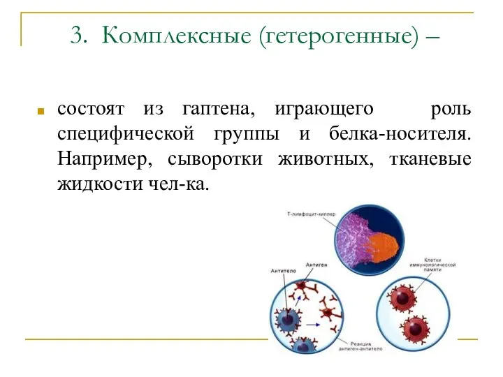 3. Комплексные (гетерогенные) – состоят из гаптена, играющего роль специфической