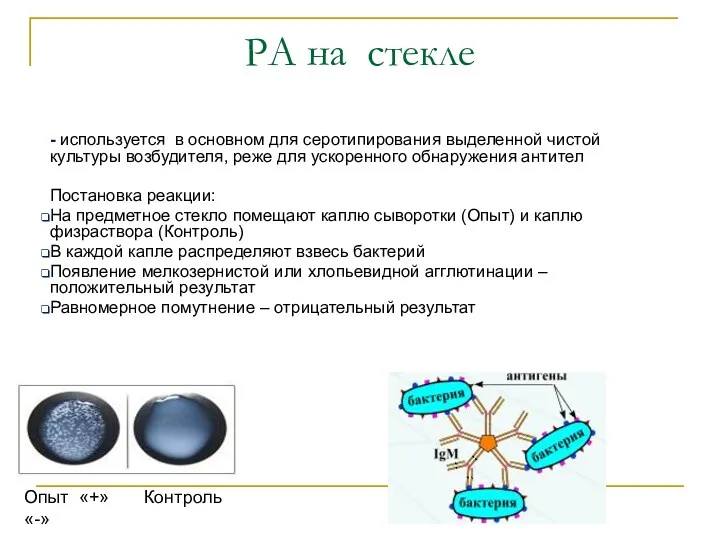 РА на стекле - используется в основном для серотипирования выделенной