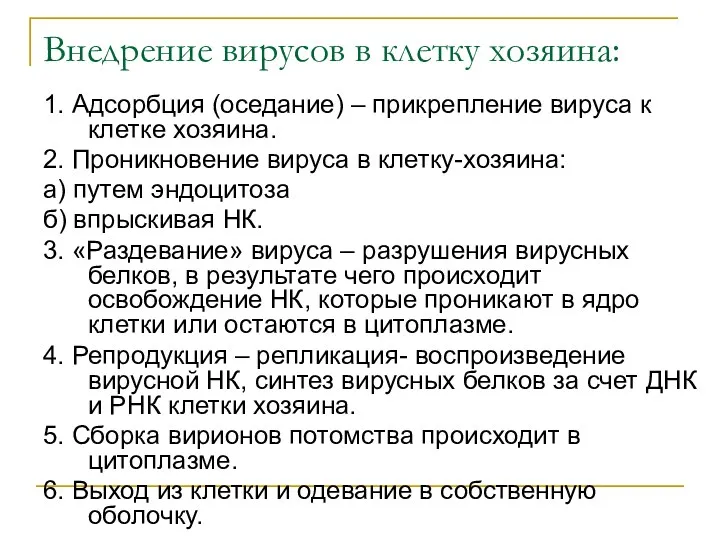 Внедрение вирусов в клетку хозяина: 1. Адсорбция (оседание) – прикрепление