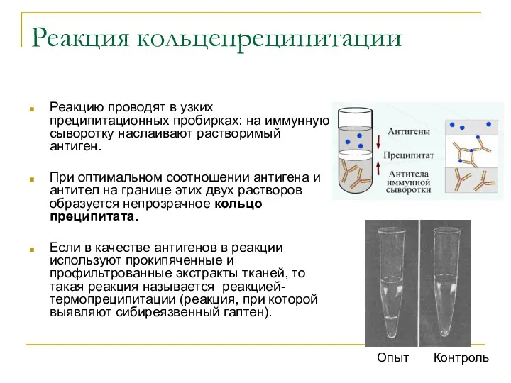 Реакция кольцепреципитации Реакцию проводят в узких преципитационных пробирках: на иммунную